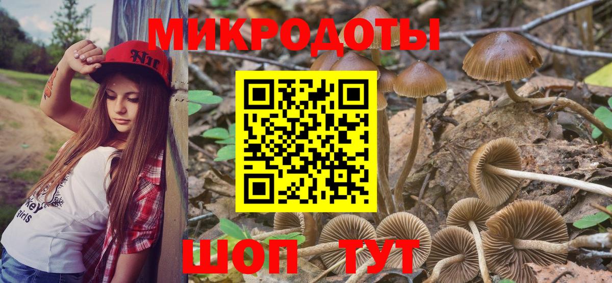 Псилоцибиновые грибы MAGIC MUSHROOMS  Псилоцибиновые грибы GOLDEN TEACHER  Клин  Вход с VPN 